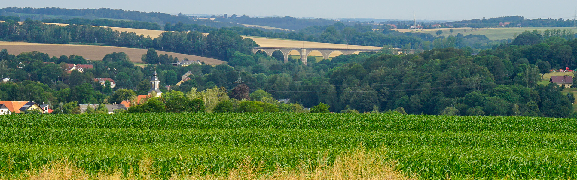 Bannerbild