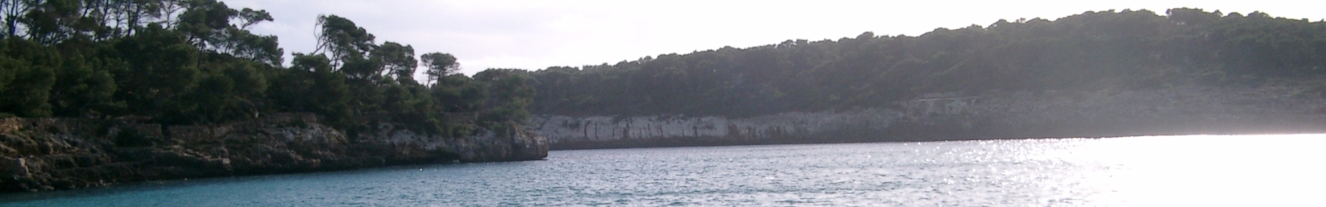 Bannerbild