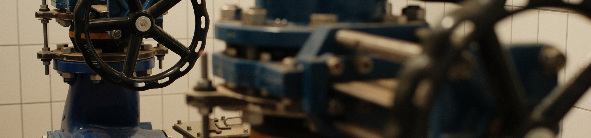 Foto von: Christian Troitzsch | 2024