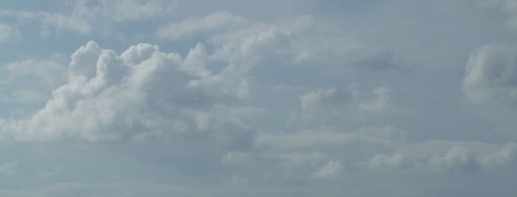 Bannerbild