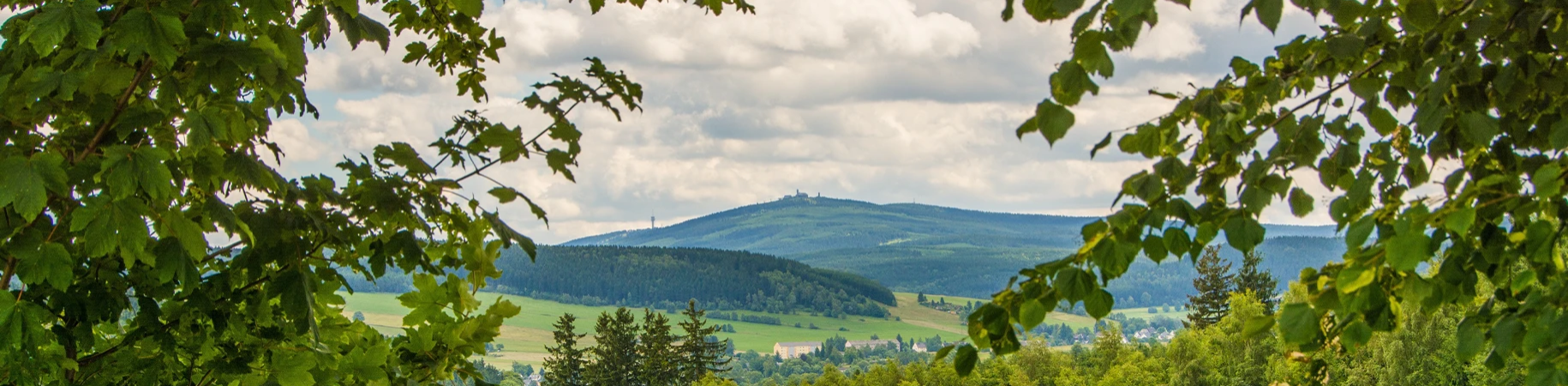 Bannerbild