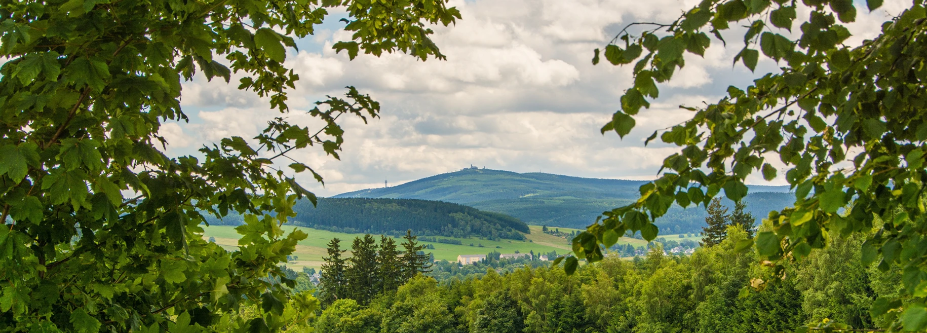 Bannerbild