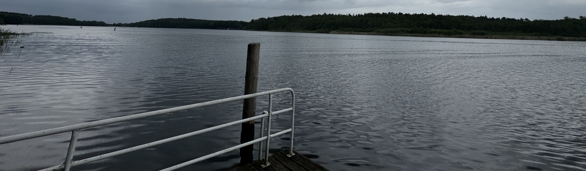 Bannerbild