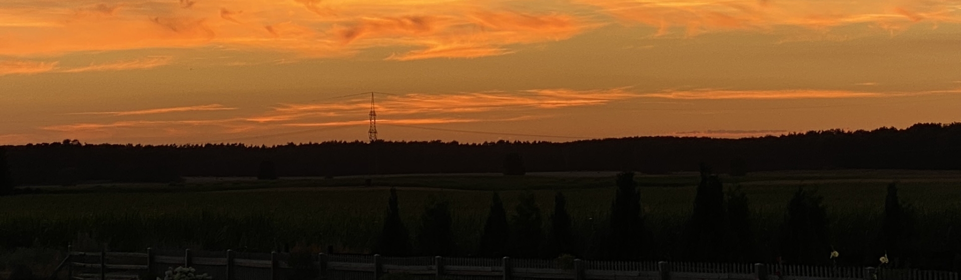 Bannerbild