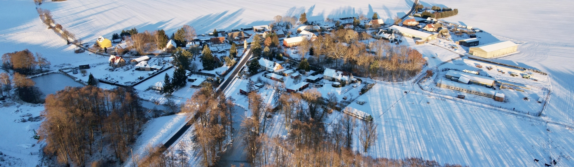 Bannerbild