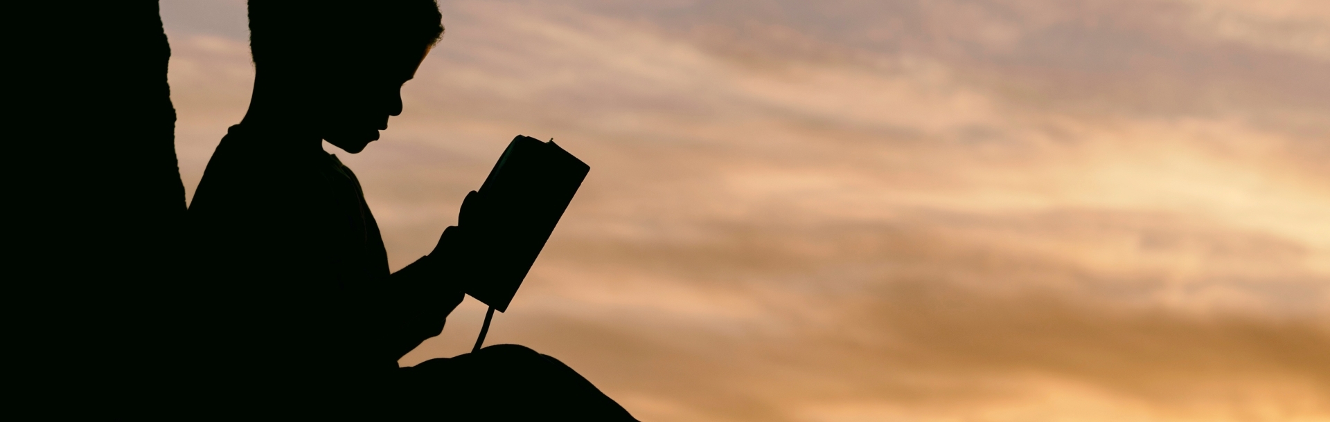 Bannerbild