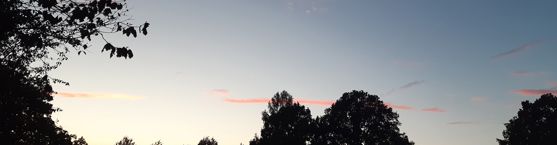 Bannerbild