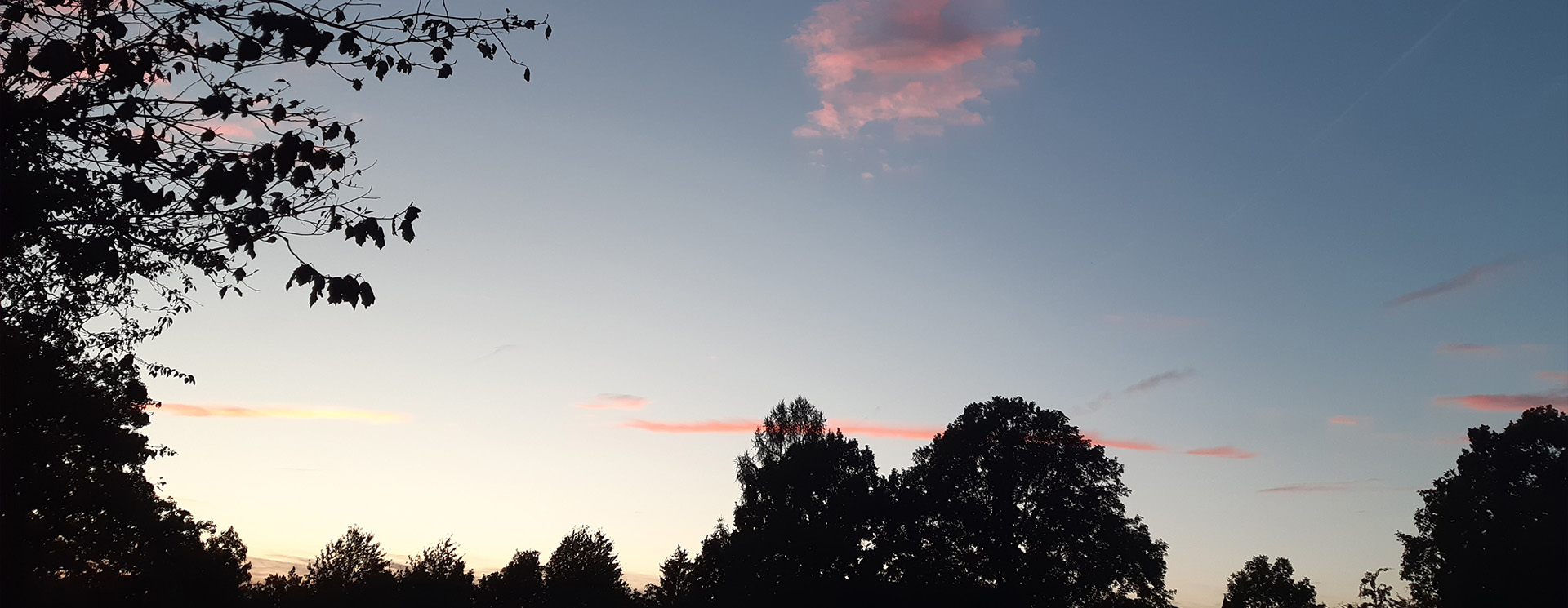 Bannerbild