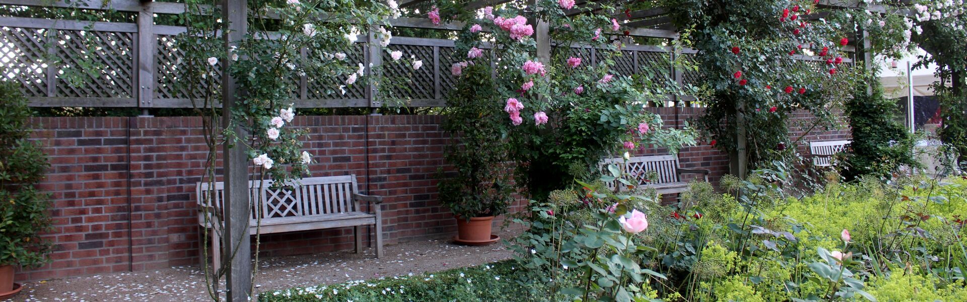 Rosengarten im Kurpark