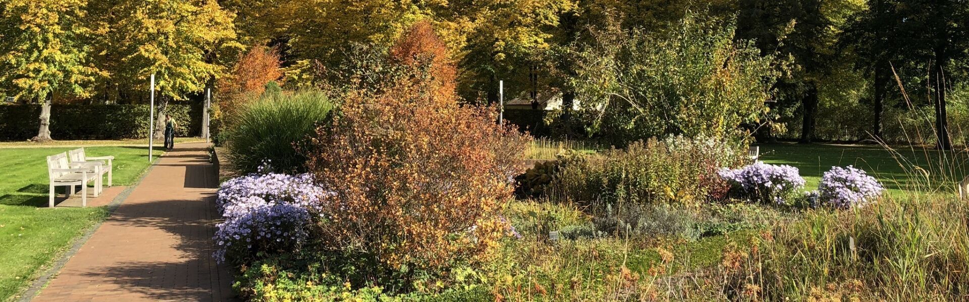 Im Kurpark