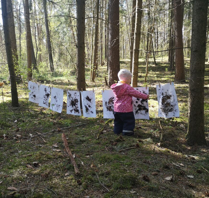 Bannerbild