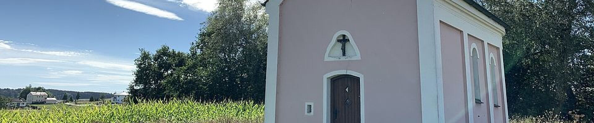 Bannerbild