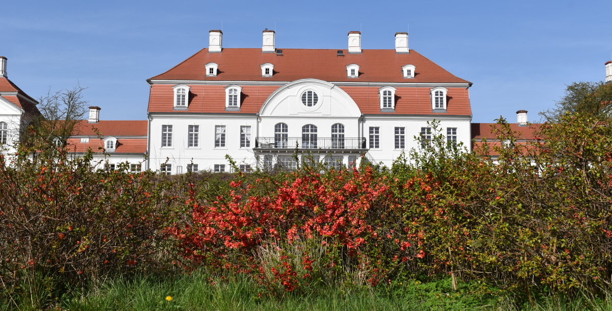Bannerbild