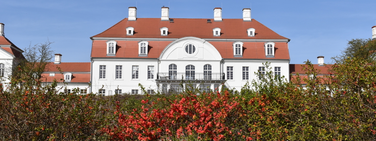 Bannerbild