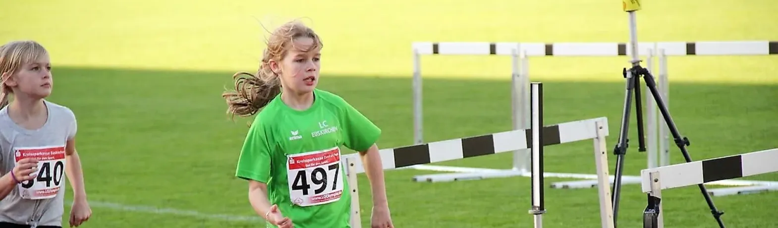 Bannerbild