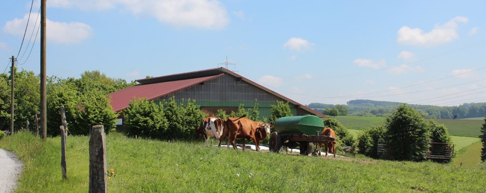 Bannerbild