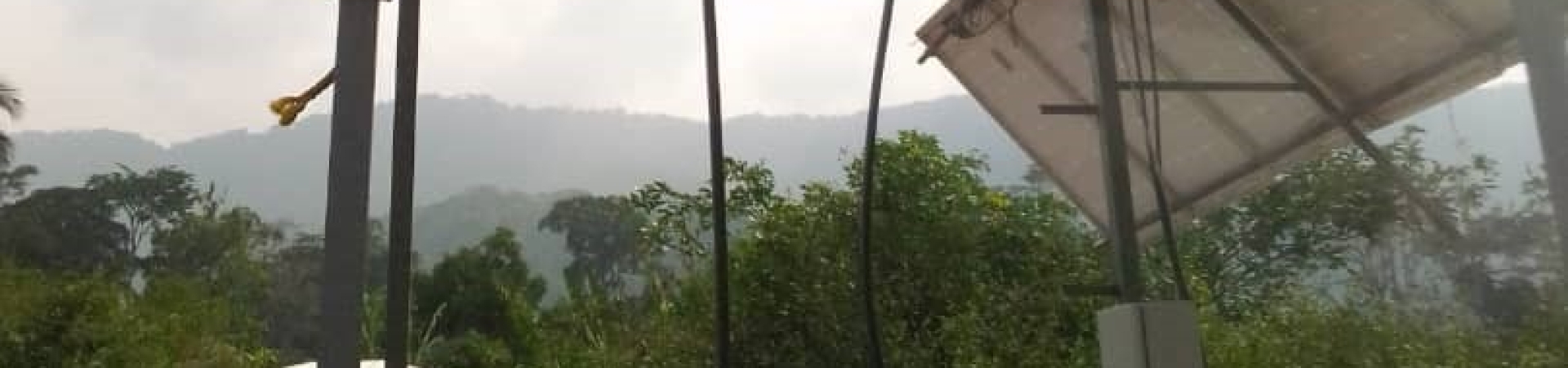 Bannerbild