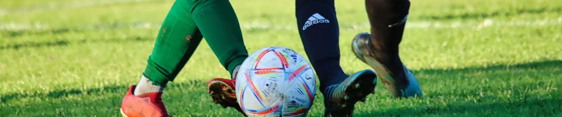 Bannerbild