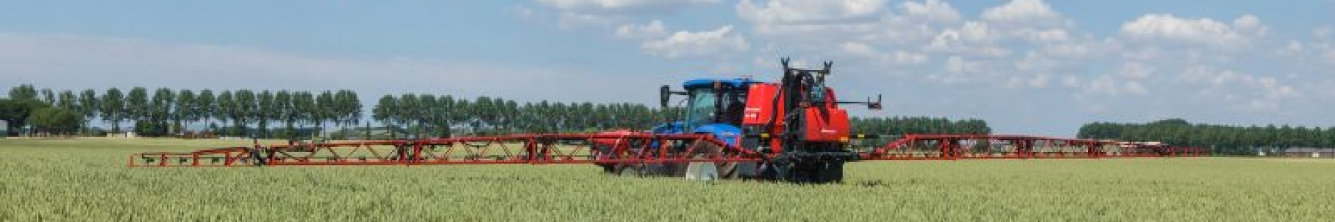 Bannerbild