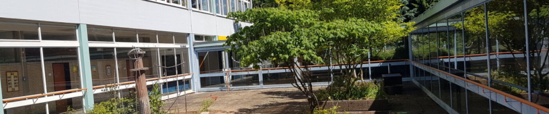 Bannerbild