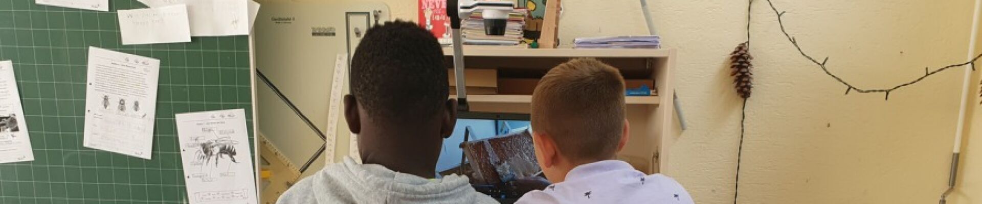 Bannerbild