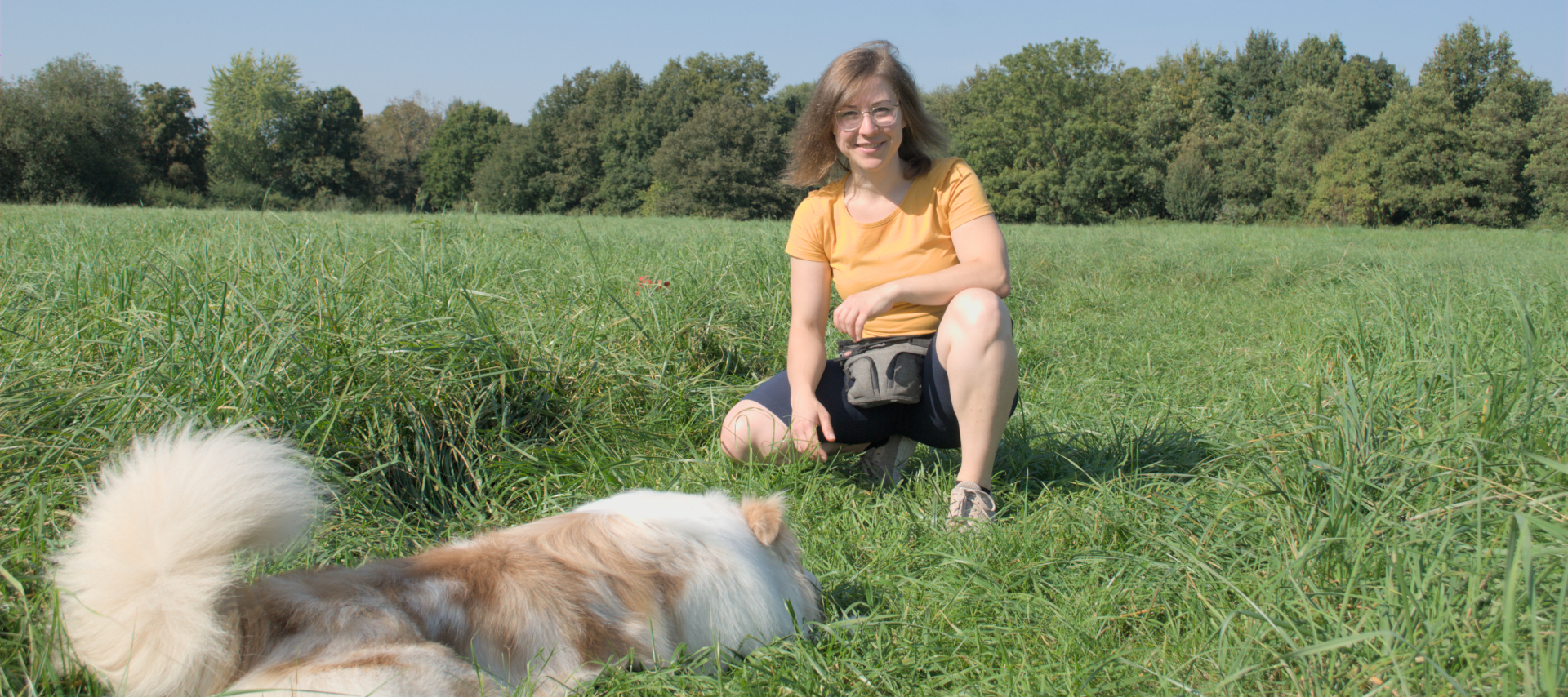 Bannerbild