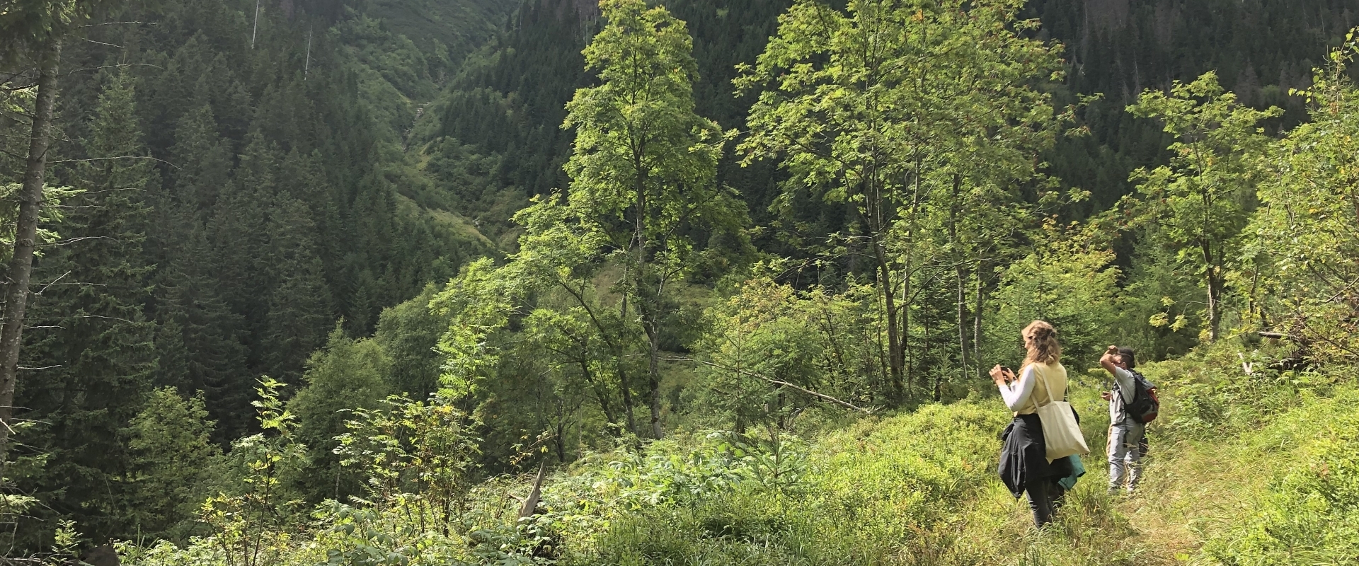 Bannerbild