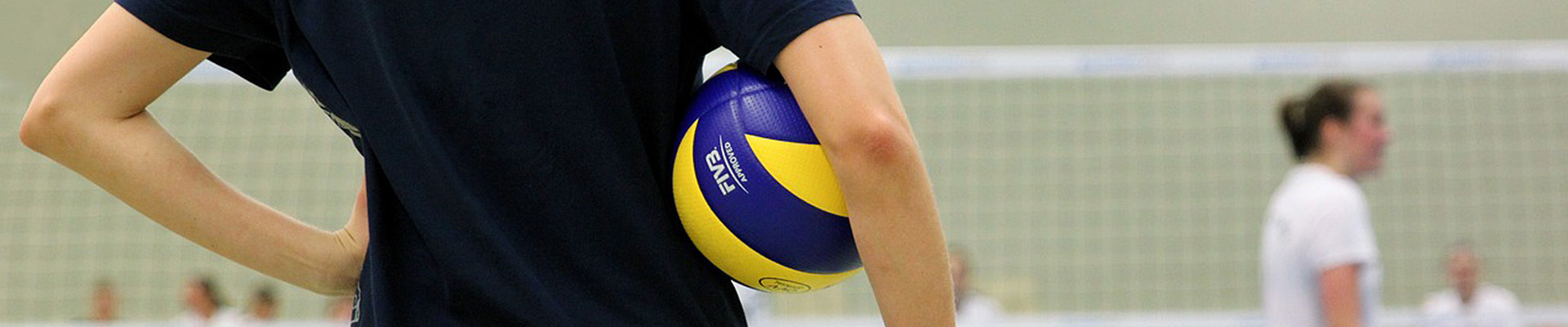 Bannerbild