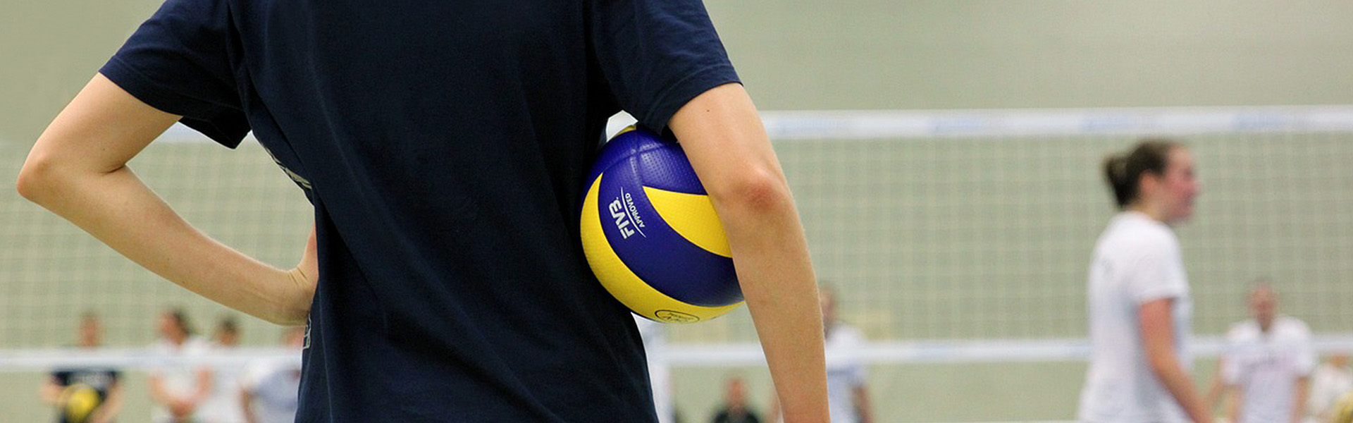 Bannerbild