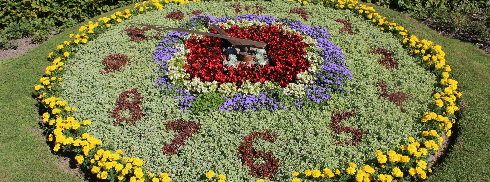 Bannerbild