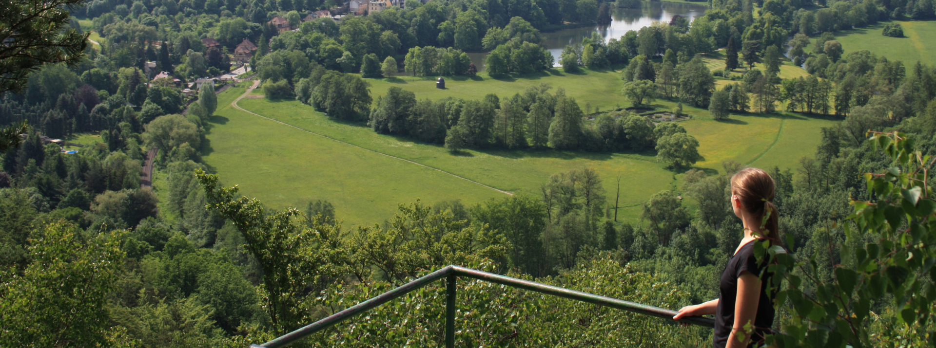 Bannerbild