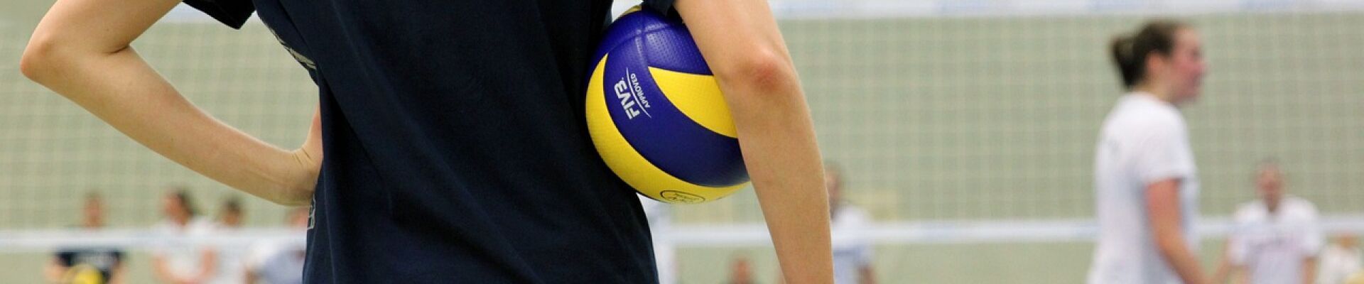 Bannerbild