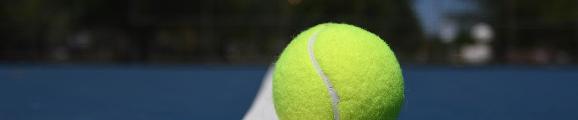 Bannerbild