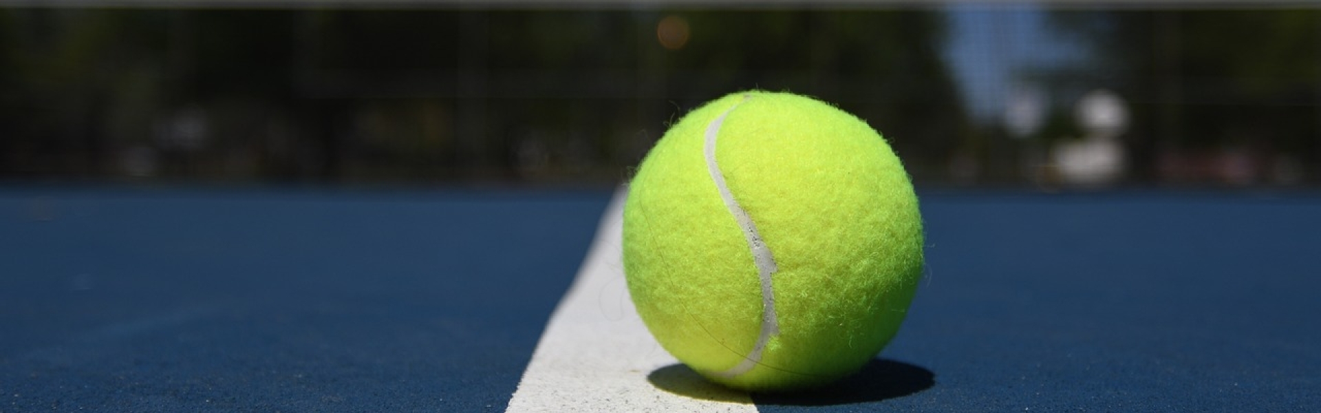 Bannerbild