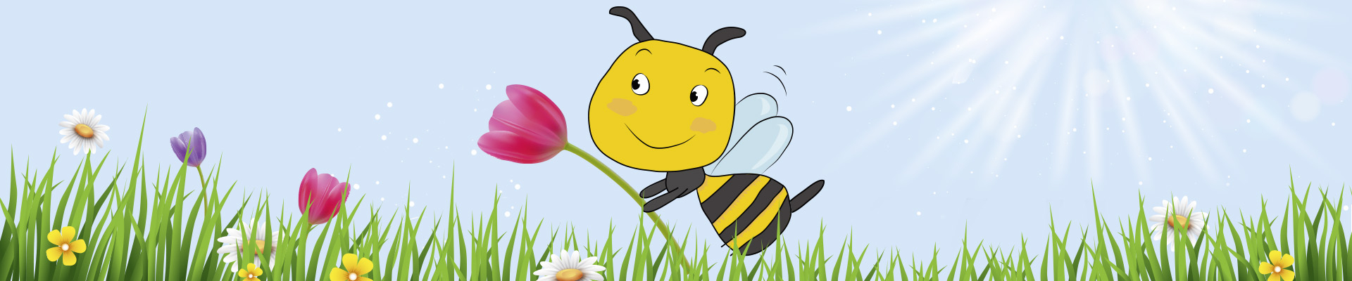 Bannerbild