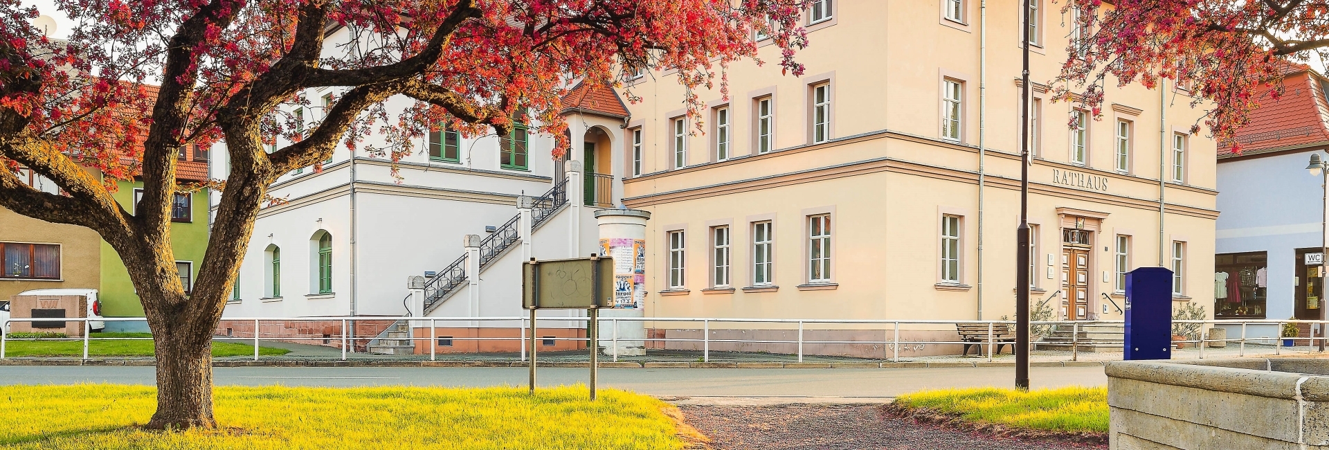 Bannerbild