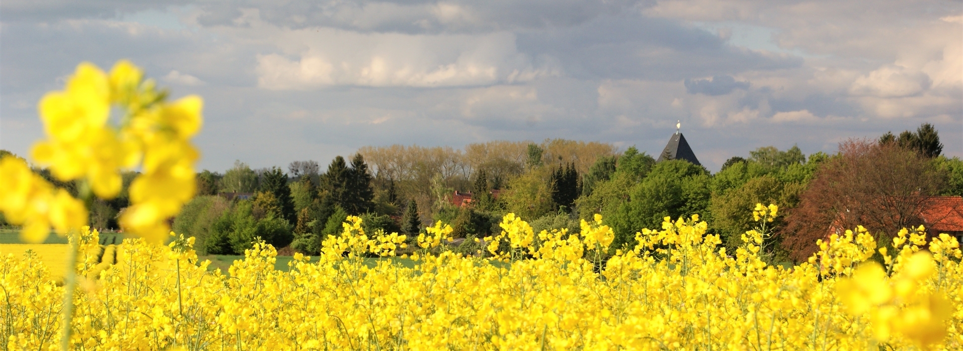 Bannerbild