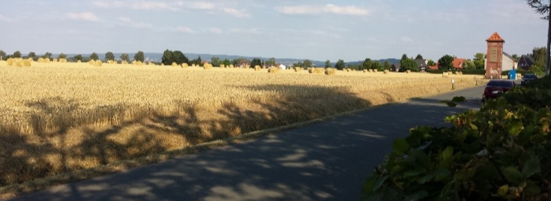Bannerbild