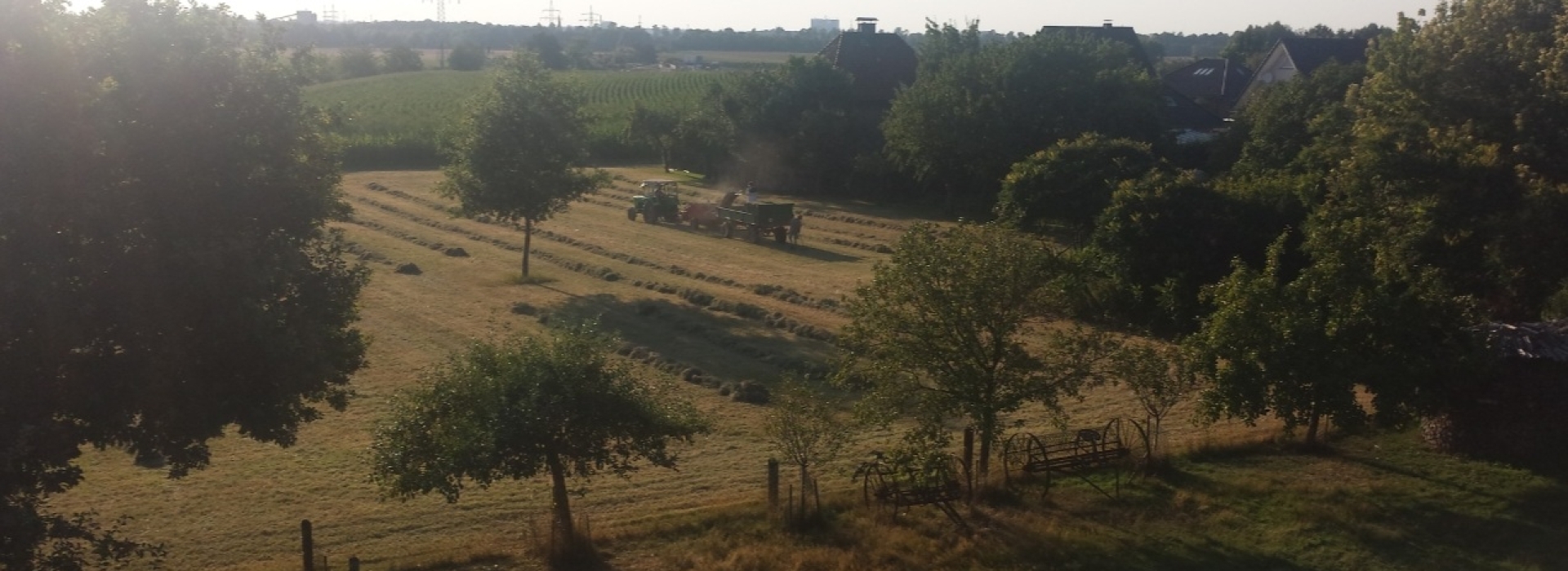 Bannerbild