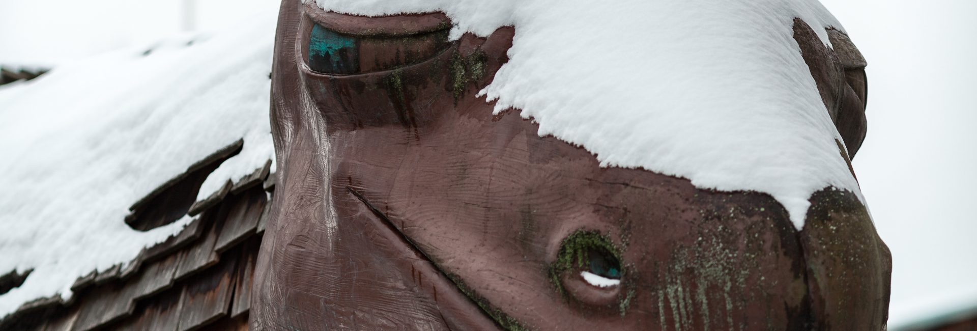 Bannerbild