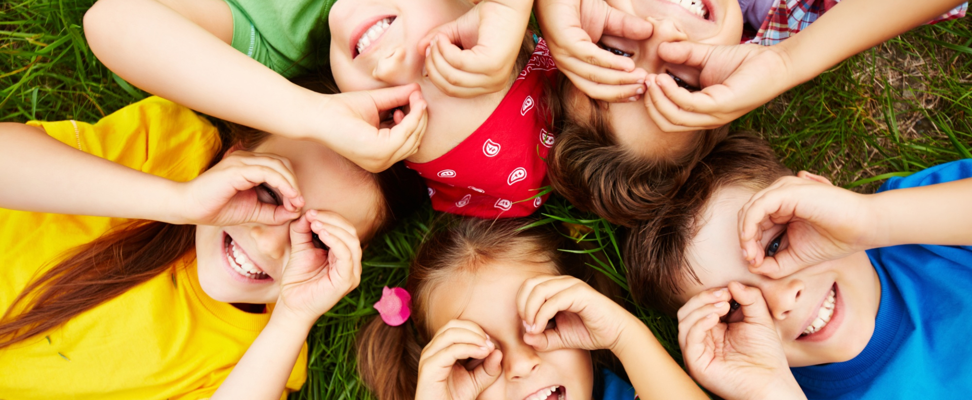 Bannerbild