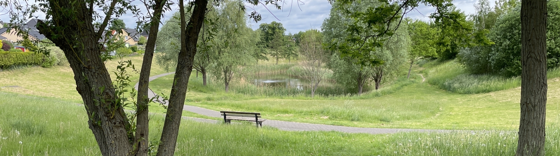 Bannerbild