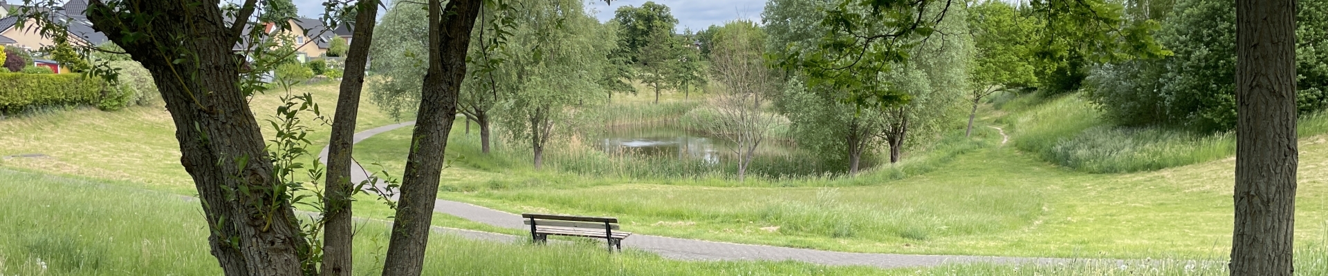 Bannerbild
