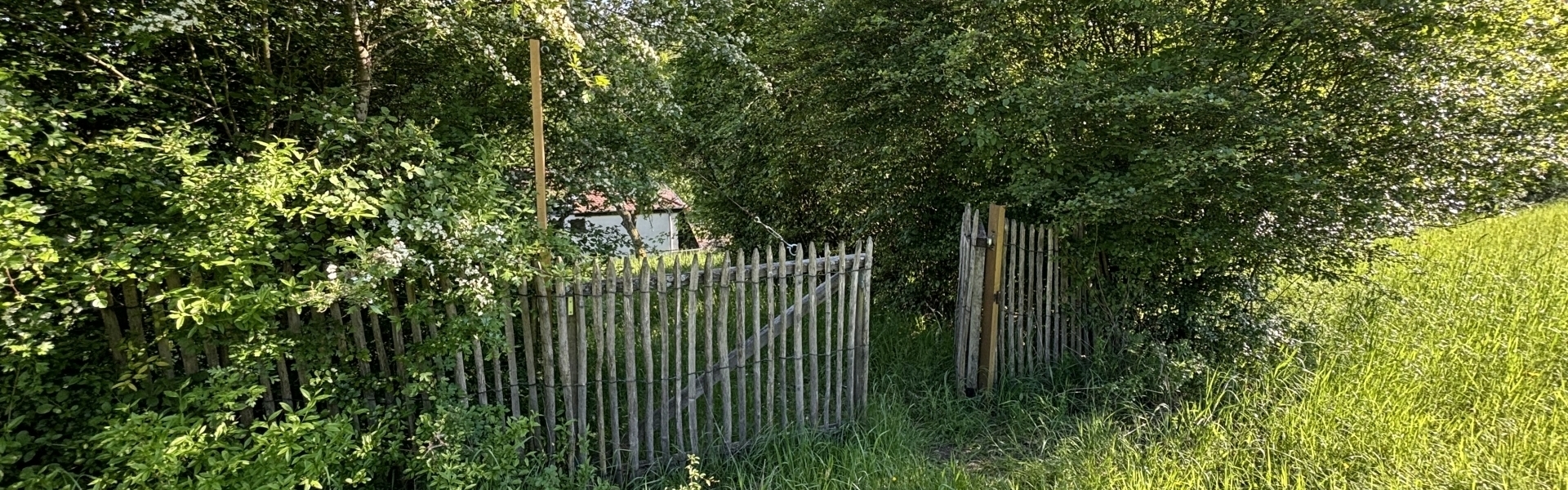 Bannerbild