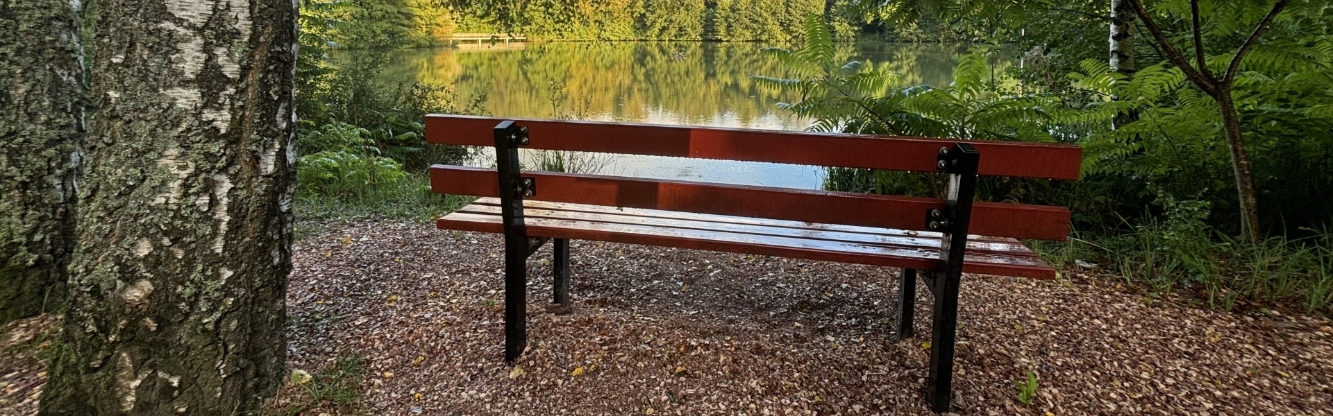 Bannerbild