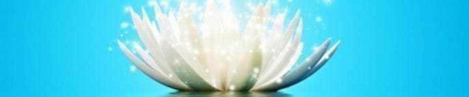 Bannerbild