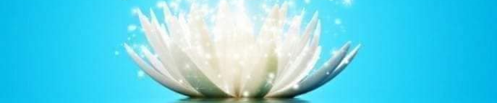 Bannerbild