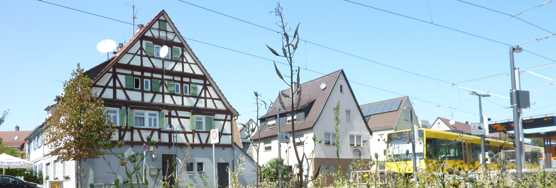 Bannerbild