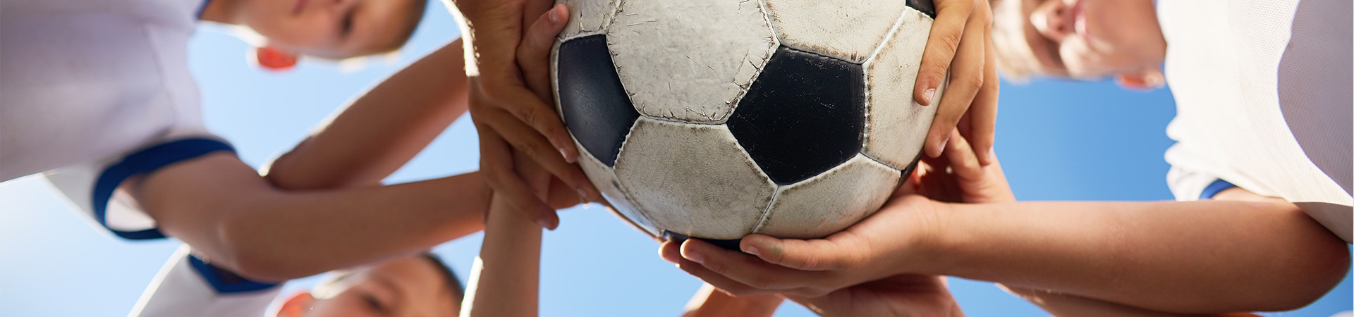 Bannerbild
