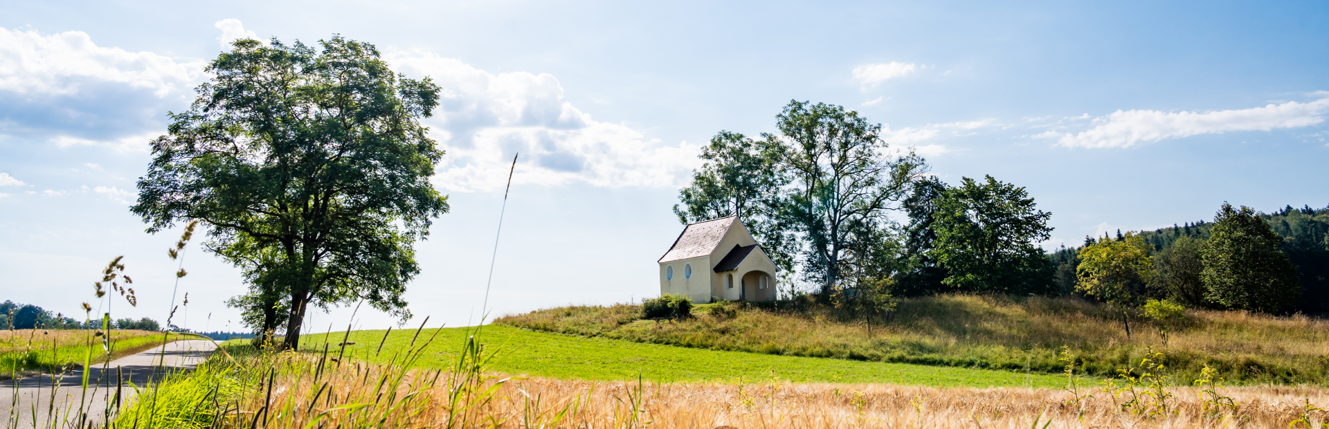 Bannerbild